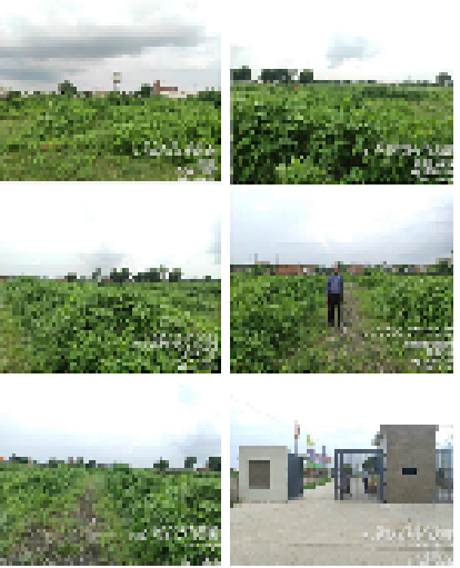 The Gift Gallery, Uttar Pradesh